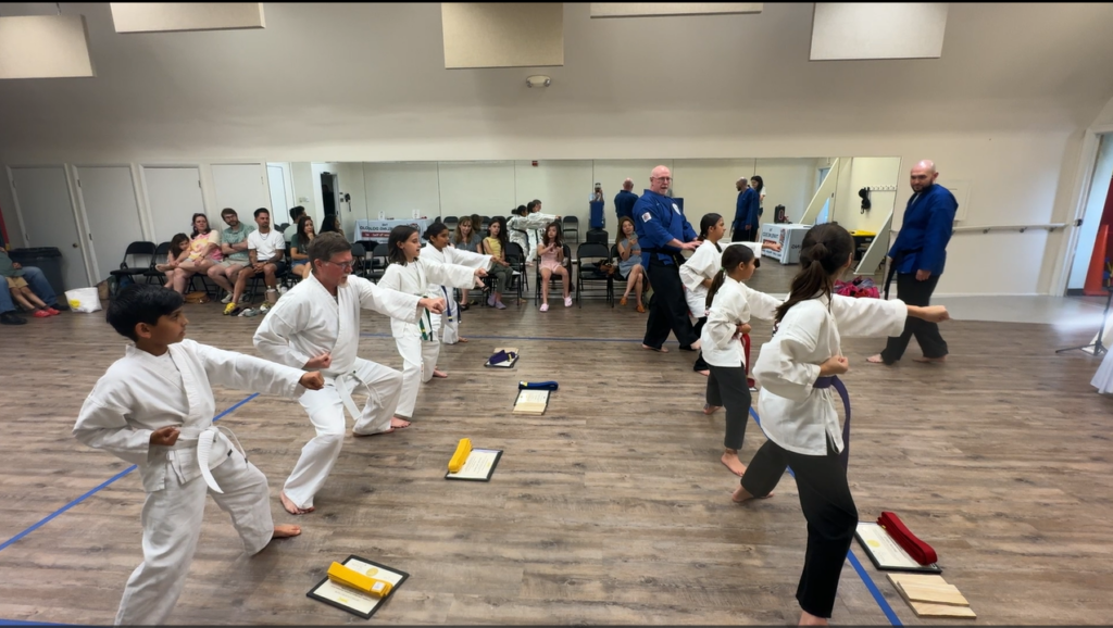 Horse Stance Reverse Punch 2