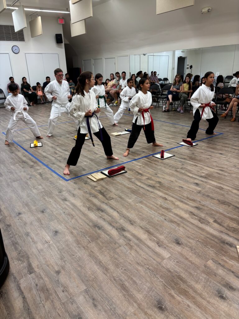 Horse Stance Reverse Punch