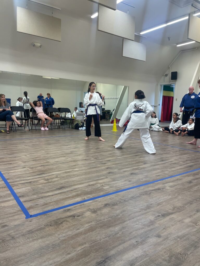 Eden One-Step Sparring
